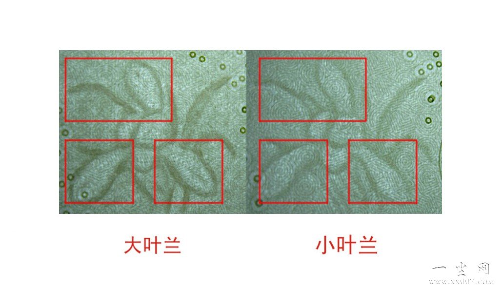 ctrl+鼠标滚轮缩放 图片点击可在新窗口打开查看
