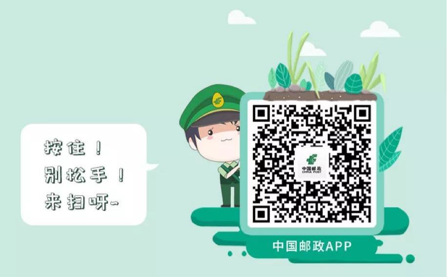 图片17.png
