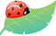 ͼƬ
