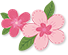 漂亮的樱花 图片