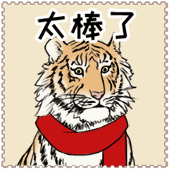 ͼƬ