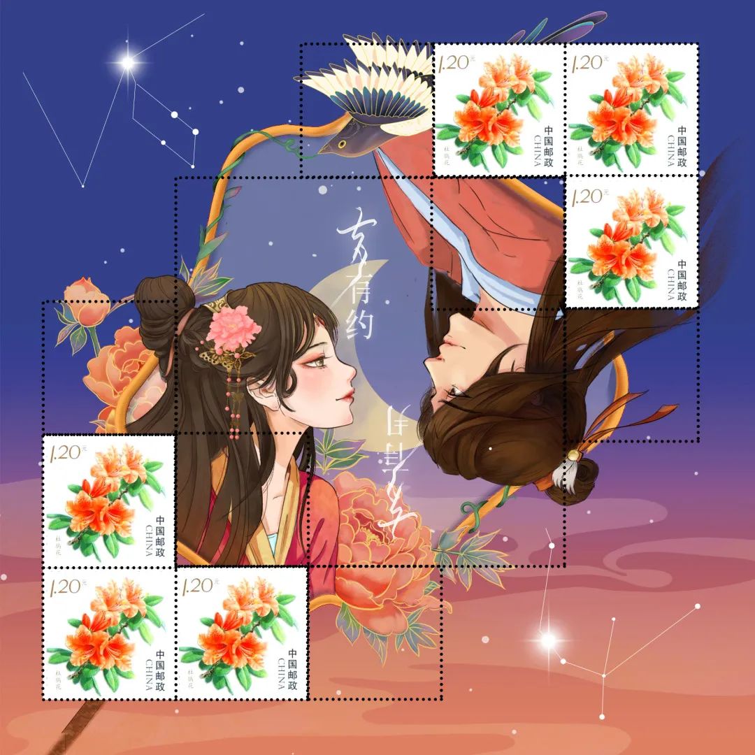 ͼƬ