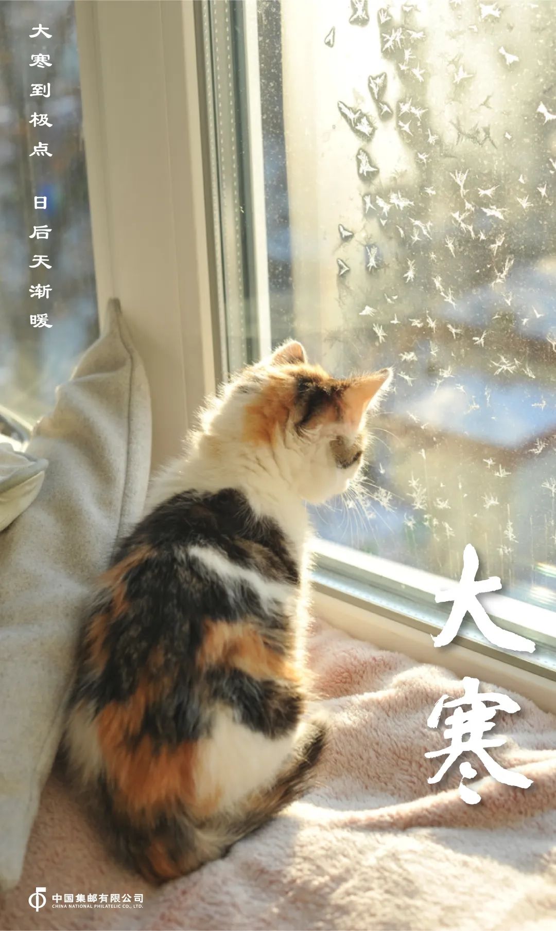 ͼƬ