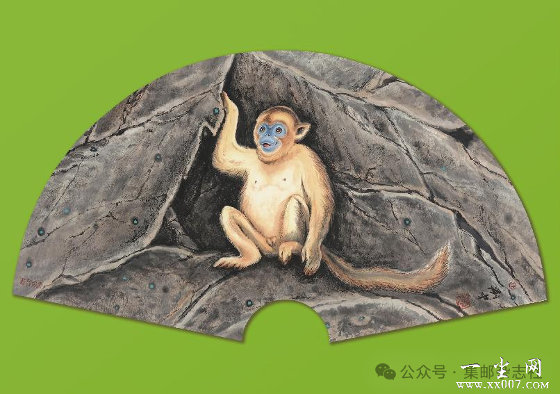 图片