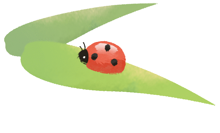 ͼƬ