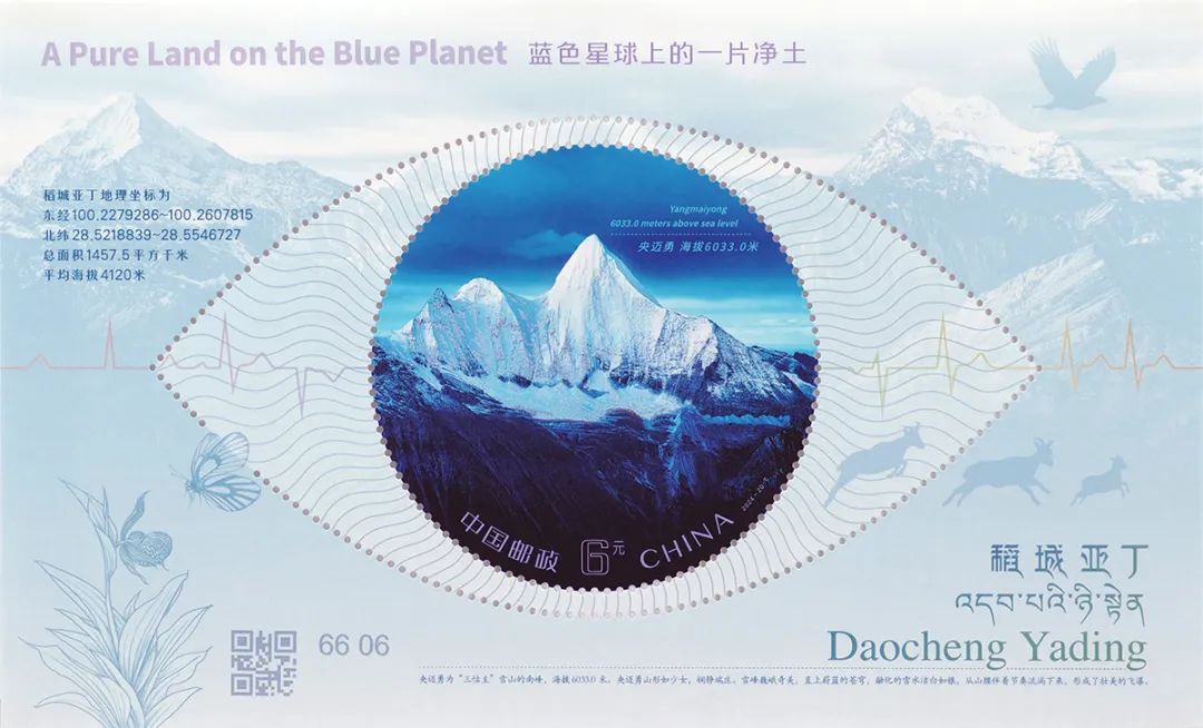 小型张.jpg