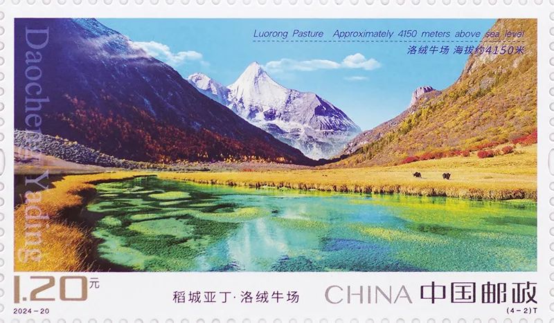 图2-单枚.jpg