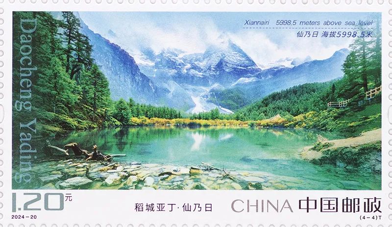 图4-单枚.jpg