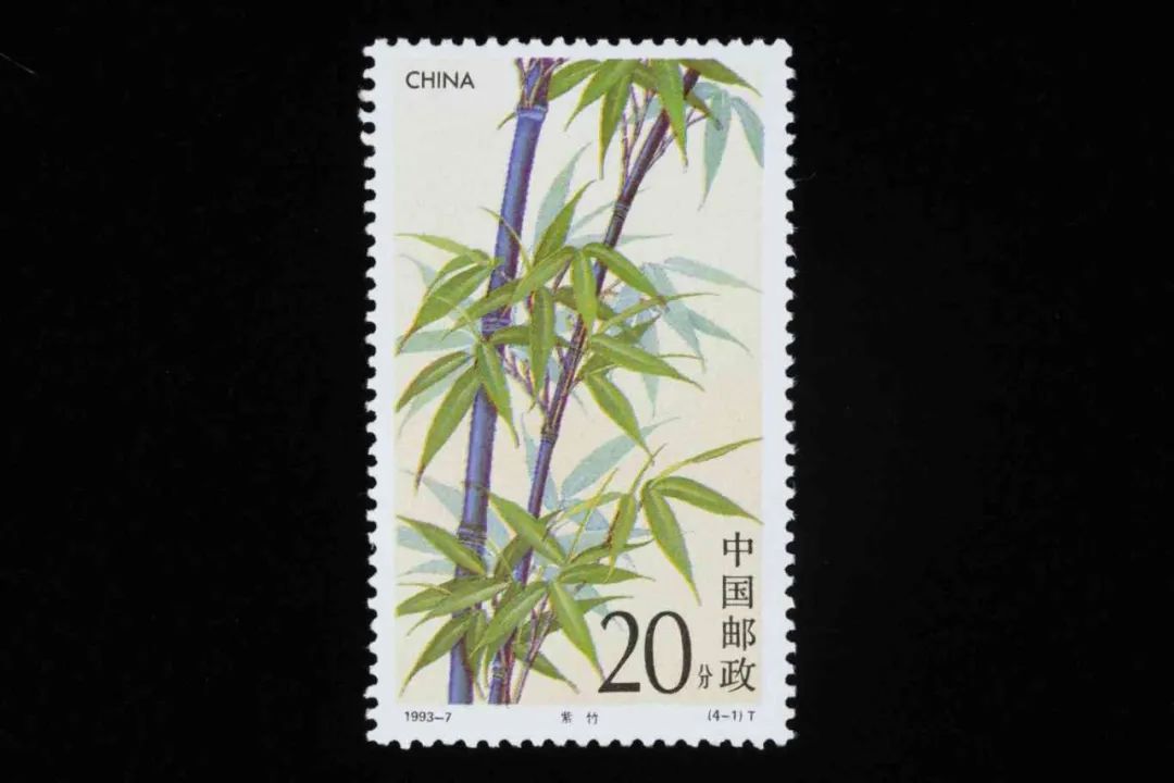 1993-7 4-1.jpg
